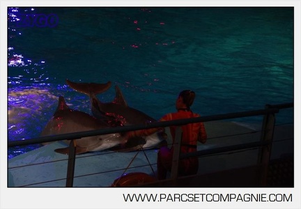 Marineland - Dauphins - Spectacle nocturne - 5855