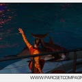 Marineland - Dauphins - Spectacle nocturne - 5856