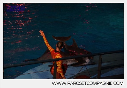 Marineland - Dauphins - Spectacle nocturne - 5856