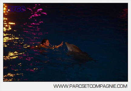 Marineland - Dauphins - Spectacle nocturne - 5860