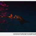 Marineland - Dauphins - Spectacle nocturne - 5861