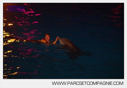 Marineland - Dauphins - Spectacle nocturne - 5861