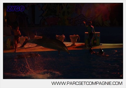 Marineland - Dauphins - Spectacle nocturne - 5863