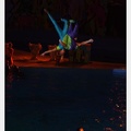 Marineland - Dauphins - Spectacle nocturne - 5900