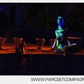 Marineland - Dauphins - Spectacle nocturne - 5904