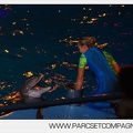 Marineland - Dauphins - Spectacle nocturne - 5914