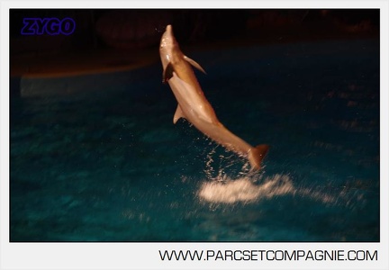 Marineland - Dauphins - Spectacle nocturne - 5928
