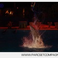 Marineland - Dauphins - Spectacle nocturne - 5930