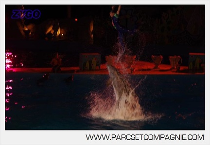 Marineland - Dauphins - Spectacle nocturne - 5930