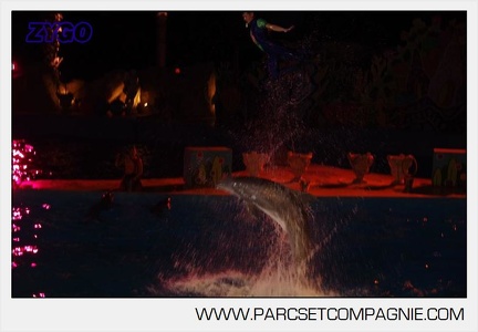 Marineland - Dauphins - Spectacle nocturne - 5931