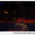 Marineland - Dauphins - Spectacle nocturne - 5932
