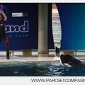 Marineland - Orques - Spectacle journee - 6068