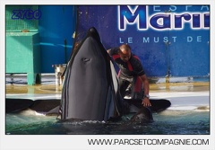 Marineland - Orques - Spectacle journee - 6083