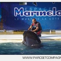 Marineland - Orques - Spectacle journee - 6107