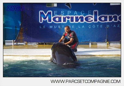 Marineland - Orques - Spectacle journee - 6107