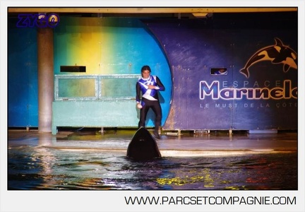 Marineland - Orques - Spectacles nocturne - 5944