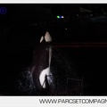 Marineland - Orques - Spectacles nocturne - 5951