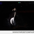 Marineland - Orques - Spectacles nocturne - 5952