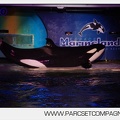 Marineland - Orques - Spectacles nocturne - 5954