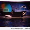 Marineland - Orques - Spectacles nocturne - 5955
