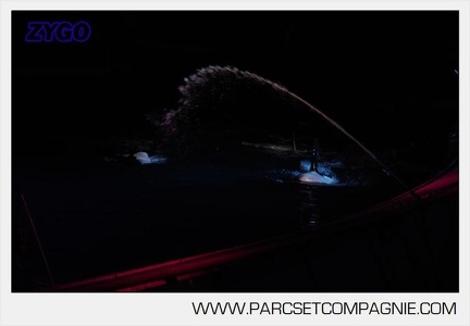 Marineland - Orques - Spectacles nocturne - 5967