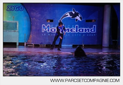 Marineland - Orques - Spectacles nocturne - 5975