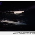 Marineland - Orques - Spectacles nocturne - 5977
