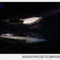 Marineland - Orques - Spectacles nocturne - 5978