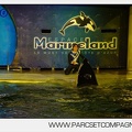 Marineland - Orques - Spectacles nocturne - 5986