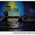 Marineland - Orques - Spectacles nocturne - 5990
