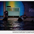 Marineland - Orques - Spectacles nocturne - 5991