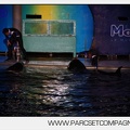 Marineland - Orques - Spectacles nocturne - 5992