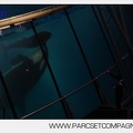 Marineland - Orques - Spectacles nocturne - 6001