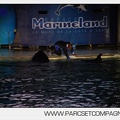 Marineland - Orques - Spectacles nocturne - 6024