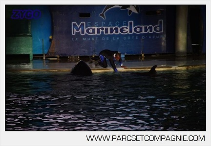 Marineland - Orques - Spectacles nocturne - 6024