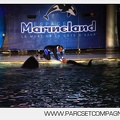 Marineland - Orques - Spectacles nocturne - 6027