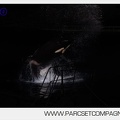 Marineland - Orques - Spectacles nocturne - 6029