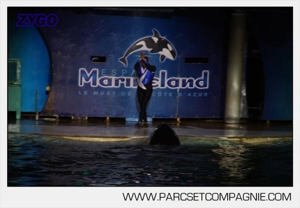 Marineland - Orques - Spectacles nocturne - 6031