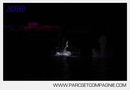Marineland - Orques - Spectacles nocturne - 6038