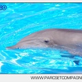 Marineland - Lagoon - Portraits dauphins - 6317