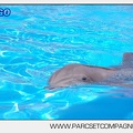 Marineland - Lagoon - Portraits dauphins - 6320