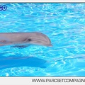 Marineland - Lagoon - Portraits dauphins - 6321