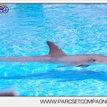 Marineland - Lagoon - Portraits dauphins - 6322