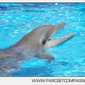 Marineland - Lagoon - Portraits dauphins - 6323
