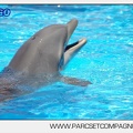 Marineland - Lagoon - Portraits dauphins - 6324