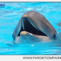 Marineland - Lagoon - Portraits dauphins - 6325