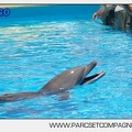 Marineland - Lagoon - Portraits dauphins - 6327