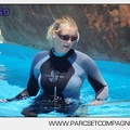 Marineland - Lagoon - Rencontre avec les dauphins - 6331