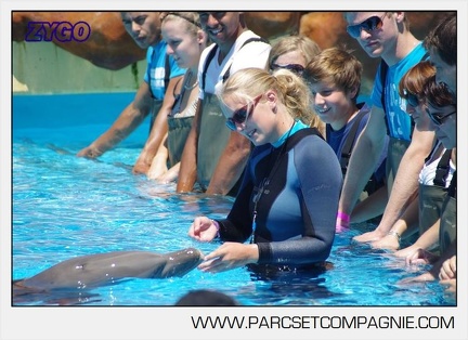 Marineland - Lagoon - Rencontre avec les dauphins - 6332