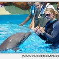 Marineland - Lagoon - Rencontre avec les dauphins - 6333